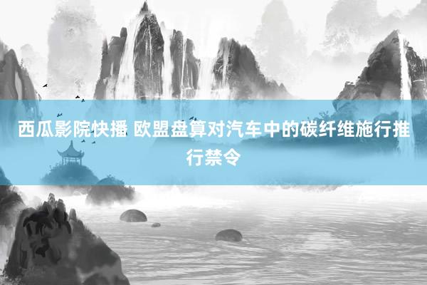 西瓜影院快播 欧盟盘算对汽车中的碳纤维施行推行禁令