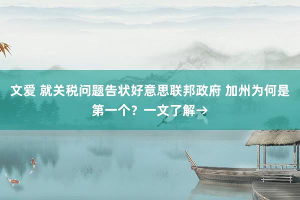 文爱 就关税问题告状好意思联邦政府 加州为何是第一个？一文了解→