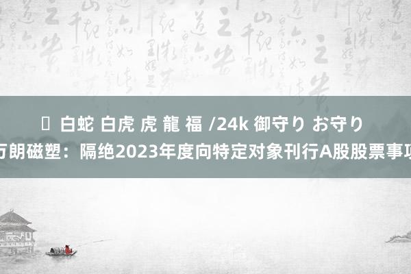 ✨白蛇 白虎 虎 龍 福 /24k 御守り お守り 万朗磁塑：隔绝2023年度向特定对象刊行A股股票事项