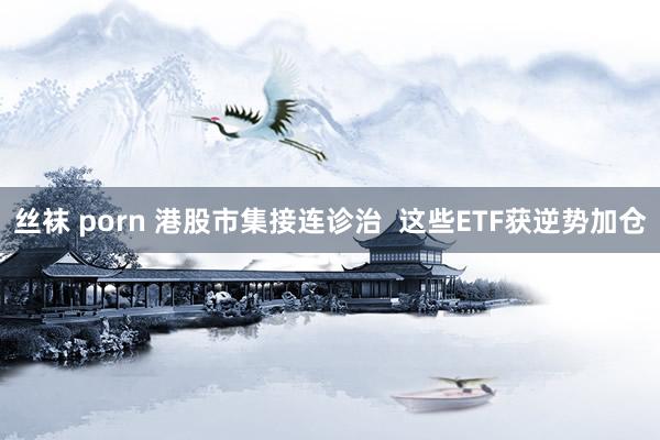丝袜 porn 港股市集接连诊治  这些ETF获逆势加仓