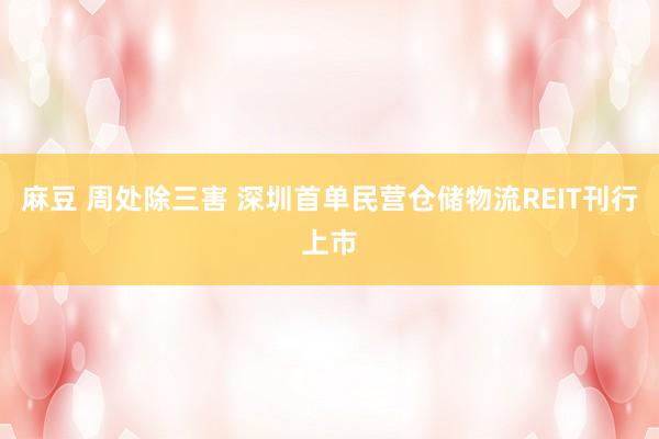 麻豆 周处除三害 深圳首单民营仓储物流REIT刊行上市