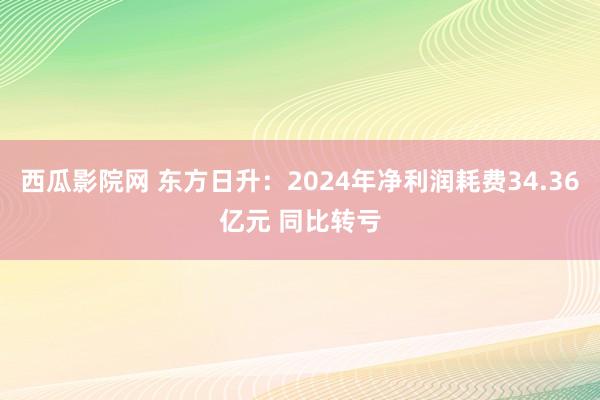 西瓜影院网 东方日升：2024年净利润耗费34.36亿元 同比转亏