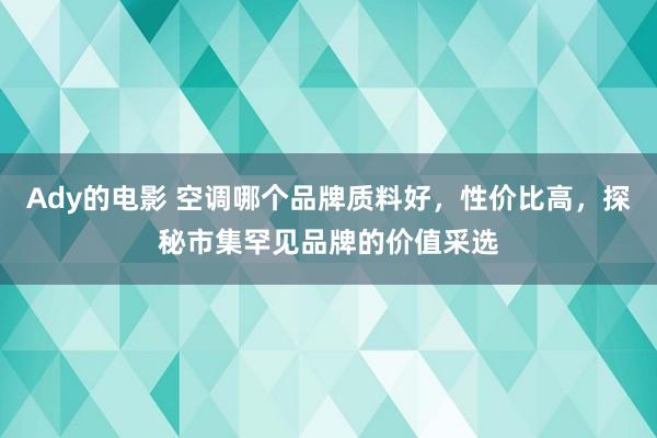 Ady的电影 空调哪个品牌质料好，性价比高，探秘市集罕见品牌的价值采选