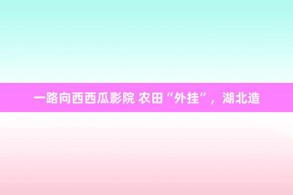 一路向西西瓜影院 农田“外挂”，湖北造