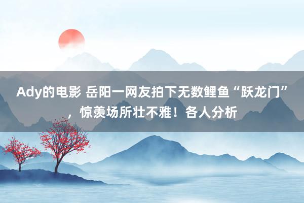 Ady的电影 岳阳一网友拍下无数鲤鱼“跃龙门”，惊羡场所壮不雅！各人分析